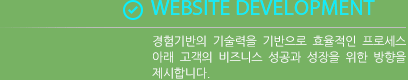 WebSite Development : 경험기반의 기술력을 기반으로 효율적인 프로세스 아래 고객의 비즈니스 성공과 성장을 위한 방향을 제시합니다.