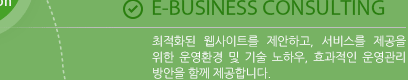 E-BUSINESS CONSULTING : 최적화된 웹사이트를 제안하고, 서비스를 제공을 위한 운영환경 및 기술 노하우, 효과적인 운영관리 방안을 함께 제공합니다. 